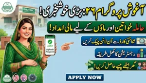 Aghosh Program Online Check Punjab By Cnic Online Registration