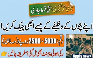 Benazir Taleemi Wazaif Check Online By Cnic May 2026