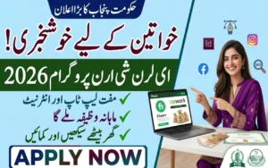 How To Apply For E Learn She Earn Program