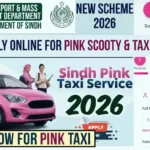 Pink Taxi Scheme Sindh Online Registration
